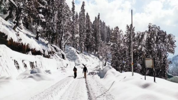 White again: Snowfall across Himachal Pradesh, 276 roads blocked