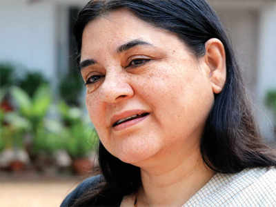 Maneka to sell her collection of mica paintings