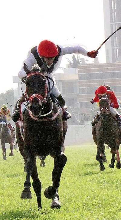 Turf Club slapped with service tax demand of Rs 6.7cr