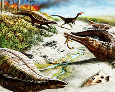 Fluctuating temperatures kept big dinosaurs clear of the tropics