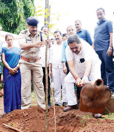 8 crore saplings to be planted under Koti Vriksha Andolan drive