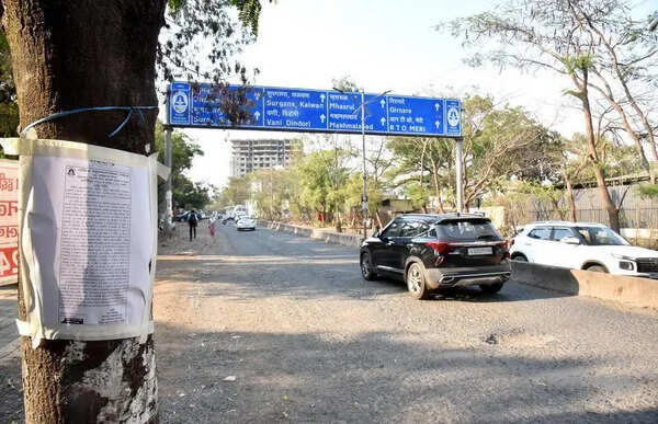 Nashik civic body plans to cut 584 trees for ring road widening ahead of Kumbh Mela