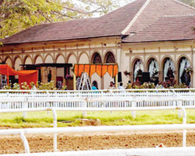 Turf club to not serve liquor from May 1