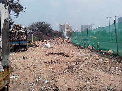 Vengaiah Lake can breathe again