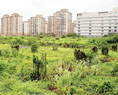 A man-made jungle’s coming up in Malad and it’s not concrete