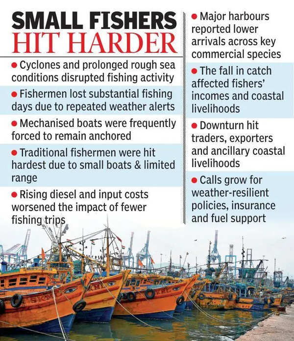 Marine fish landings in AP dropped by 13% in 2025