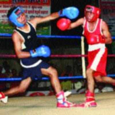 Maharashtra wins 5 gold medals at youth boxing championships