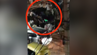 Caught on camera: Car mows down pedestrians in a horrifying hit-and-run accident in Delhi 