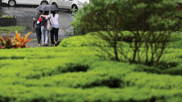 This month records highest July rain in 3 decades