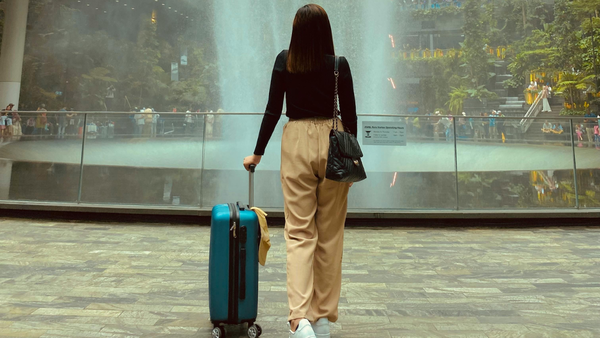 Expandable Trolley Bags That Handle Overpacking Easily