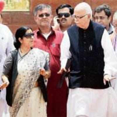 Baba smirks as SC pulls up Govt for Ramlila act