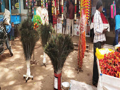 Peafowl feather sellers set free, experts cry fowl