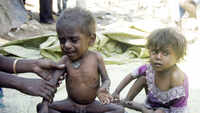 India's undernourished figure declines: UN report 