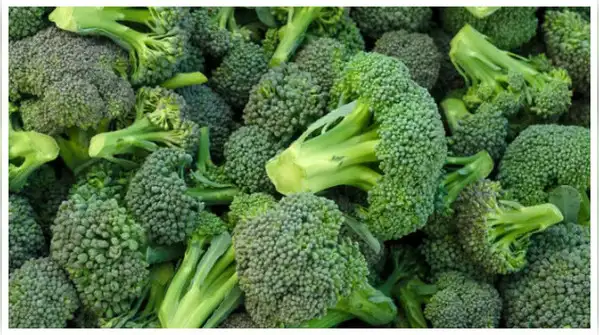 Broccoli