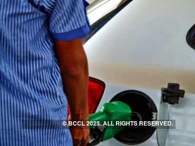 Fuel price rise paused on Monday after rising for two days