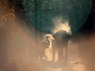 Story Behind The Photo: Happy holi