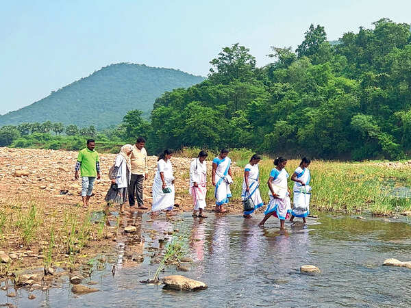 In Andhra, doctors are family now