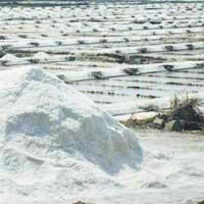 Govt orders closure of 500 hectares of saltpans