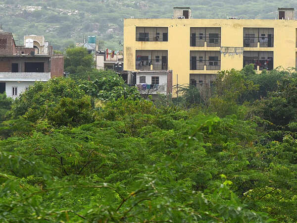 Fresh threat looms over Delhi Ridge