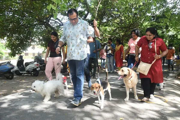 Chennai corpn extends pet licence regn, renewal deadline till June 15