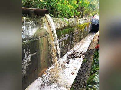 Illegal dumping of slurry ‘could lead to flooding’