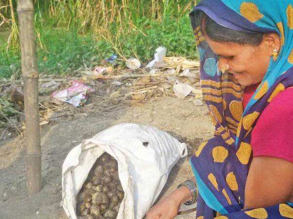 In UP, rat-eating Musahars battle starvation, death