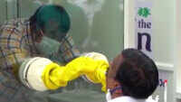 COVID-19: Labs, technicians under pressure in Karnataka over rise in testing 