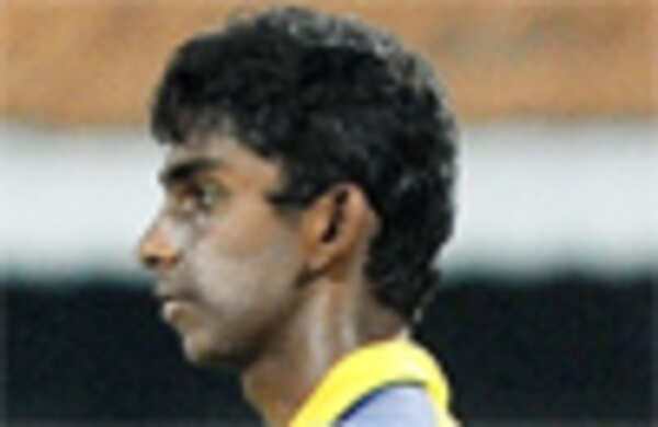 Chennai think-tank says fresh crop will deliver this season