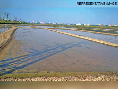 ‘Delays in mapping risk 5,300 acres of saltpans’
