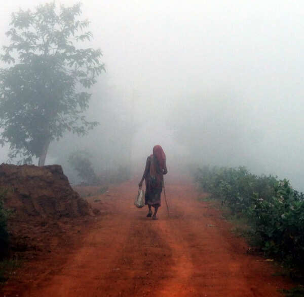IMD forecast: Night temperatures to drop by 2-3 degrees Celsius in Odisha