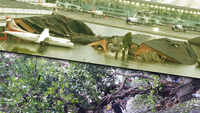 Cyclone Amphan: 6 hours of fury that devastated parts of Kolkata 