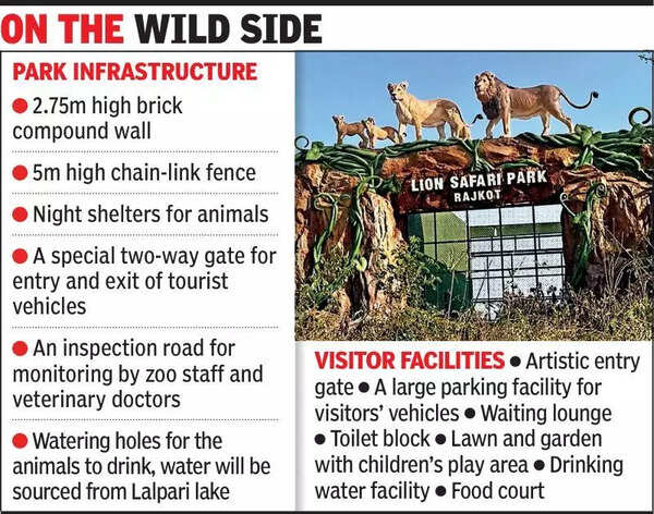 Rajkot readies its own Gir-style lion safari