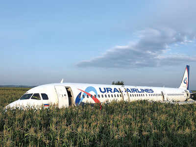 Russian jet crash-lands in field after bird strike