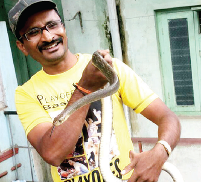 Bengaluru and its cobras are keeping snake rescuers busy this season