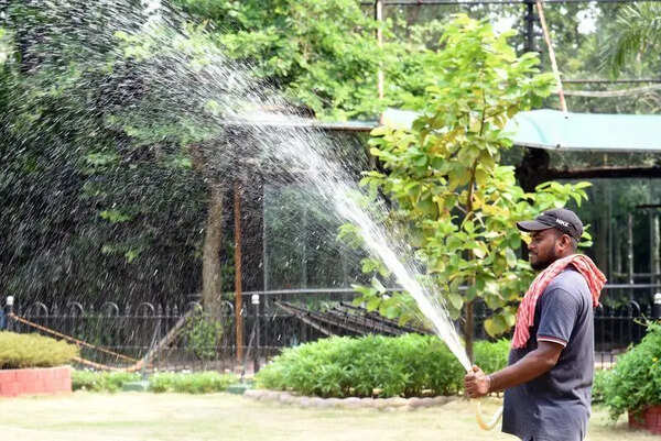 Heatwave alert issued for four Himachal districts