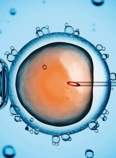 Unqualified embryologists spark a baby boom in city