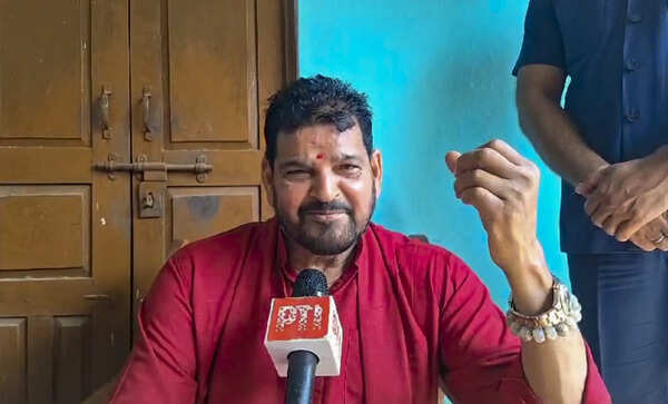 Conspirators could not succeed: Brij Bhushan Sharan Singh