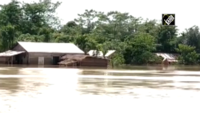 Assam: Flood situation remains grim in Nagaon district 