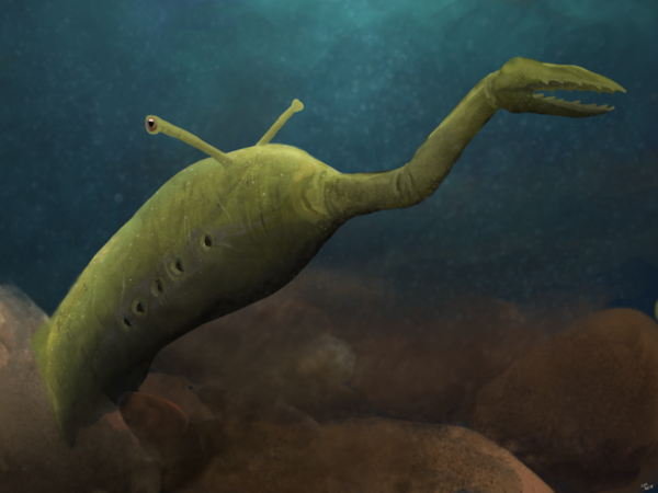 In 1958, an Illinois man cracked open an ordinary rock and found a 300-million-year-old ‘monster’