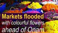 Markets in Thiruvananthapuram flooded with colourful flowers ahead of Onam 