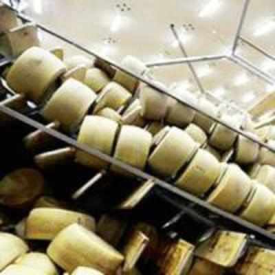 Italy earthquake destroys cheese worth 250m euros