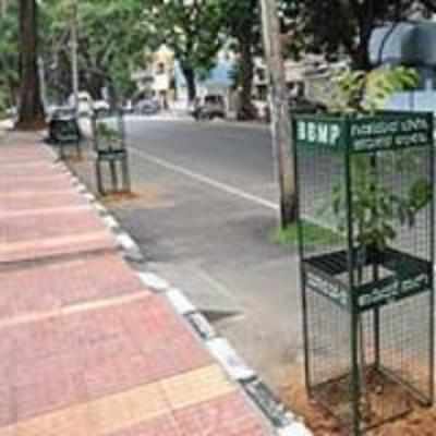 Cycling lane that cost Rs 13 cr has been ripped apart to plant saplings