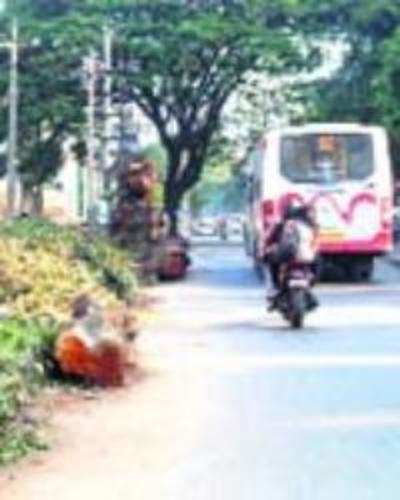 Hosur Road widening is in full swing