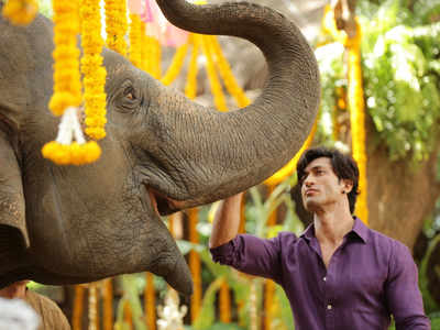 Junglee box office collection Day 2: Vidyut Jammwal's action adventure earns Rs 4.45 crore on Saturday