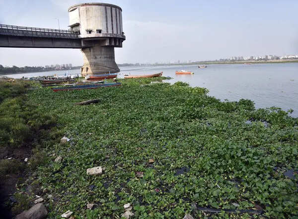 1,500 cusecs being released to improve water quality in weir