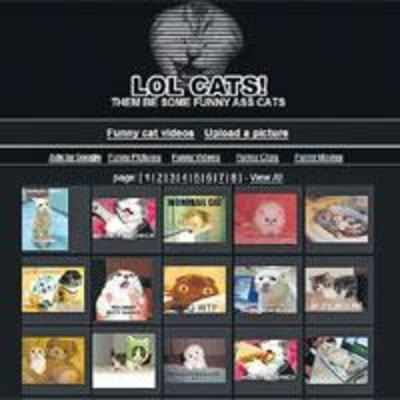 Featured image of post Lolcats com