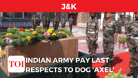 J&K: Indian Army pays last respects to dog ‘Axel’ 