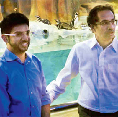 Who took the fight out of Shiv Sena?