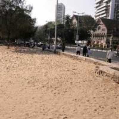 Chowpatty is cleared of cars