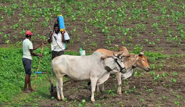 TN banks on value-adds to strengthen agri ecosystem